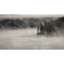Fog Island by unknown